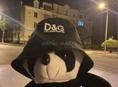 Ищу работу офиком или начинающим барменом