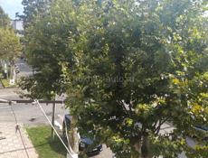 1 комнатная кв. в центре Сухума