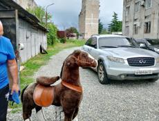 Поницыкл выдерживает вес 100+ 