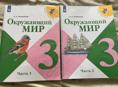 Окружающий мир 3 класс