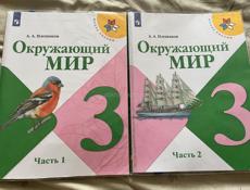 Окружающий мир 3 класс