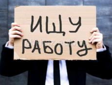 В поисках работы