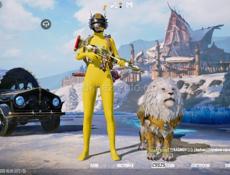Акк Pubg