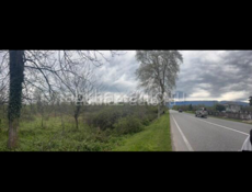 Часть продам часть обменяю 