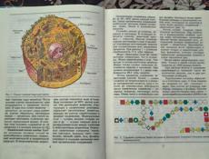 Биология Батуев 9 класс 
