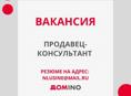 Продавец-консультант
