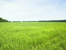 Продаю 