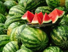 Писать только на вастап арбуз местные🍉 