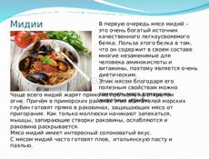 Мидии Черноморские Свежие Жареные Вареные Доставкой 