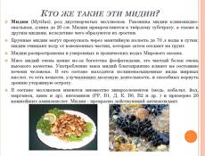 Мидии Черноморские Свежие Жареные Вареные Доставкой 