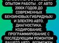 Авто Электрика-Диагностика 