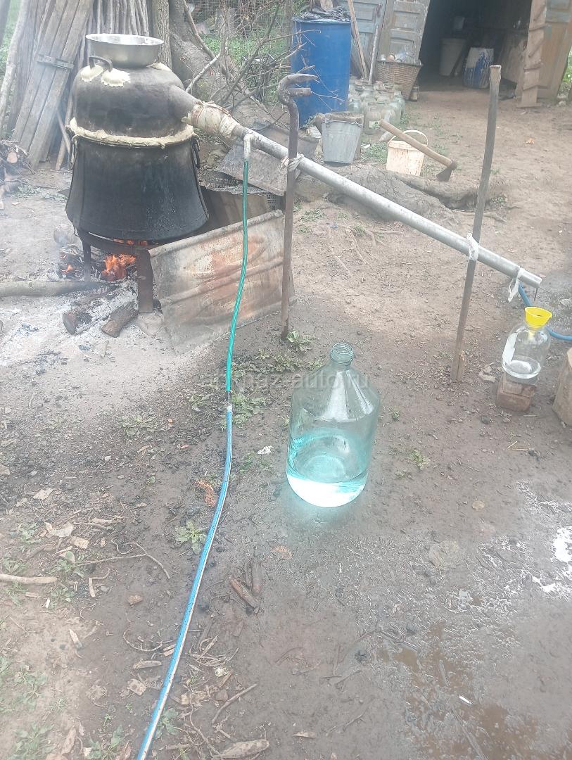 Водка из алычи чистоган без сахара без воды два прогона 60 градусов 15 литров  торг 