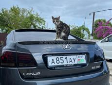 Lexus GS