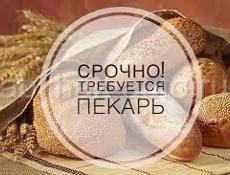 Требуется пекарь