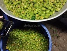АЛЫЧОВАЯ ЧАЧА 60° 