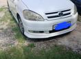 Toyota Ipsum