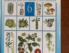 продажа книг 