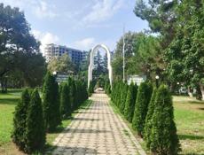 Срочно