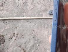 Айфон 12. 20 тысяч 