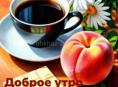 Золото