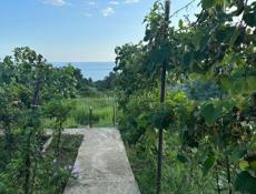 ДОМ С ВИДОМ НА МОРЕ  В П. ПСЫРЦХА 