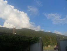 Официанты 
