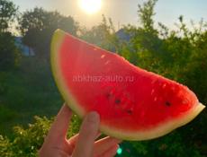 Арбуз по 30р 