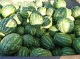 Арбузы🍉