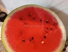 Арбузы🍉