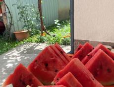 Арбузы🍉