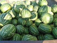 Арбузы🍉