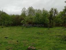 УЧАСТОК 50 СОТОК ДРАНДА
