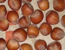 Ишу рабочий 6 человек 