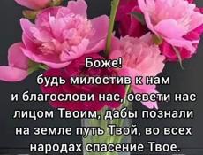 Ищу работу 