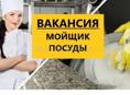 Посудница