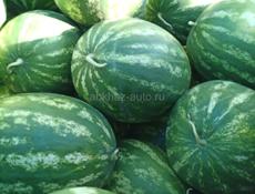 Арбуз 🍉