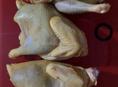 Куры свежие домашные