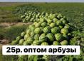 Арбуз сладкий как мед только что собранный от 3 до 8 кг по 25 за килограмм.. около двух тонн ….Село Адзюбжа номер хозяйна +7 (940) 916-98-77