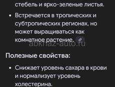 Джинура