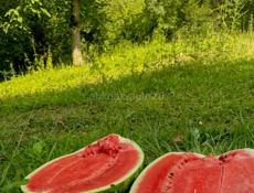 Арбуз 🍉 по 25р 
