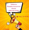 Продавец/кассир/работник склада 