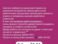 Требуется парень  на пляж