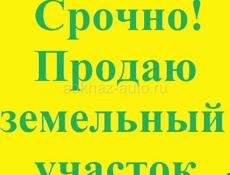 10 соток земли 