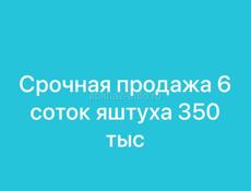 Срочно 