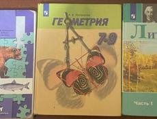 Школьные книги 