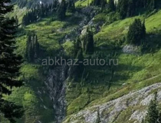 Козы 