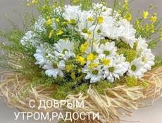 Ищу работу на пасуду или на продавца или на няню  