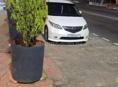 Honda Еlysion