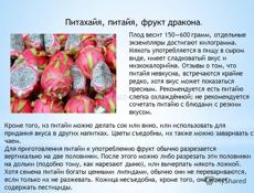 Питахайя молодая (драконий фрукт) 