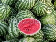 Продам местные арбузы